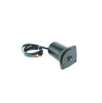 Power Trim Motor for SUZUKI/HONDA/OMC 40HP 50HP - 38100-87j10- WTM-0002 - RCMA